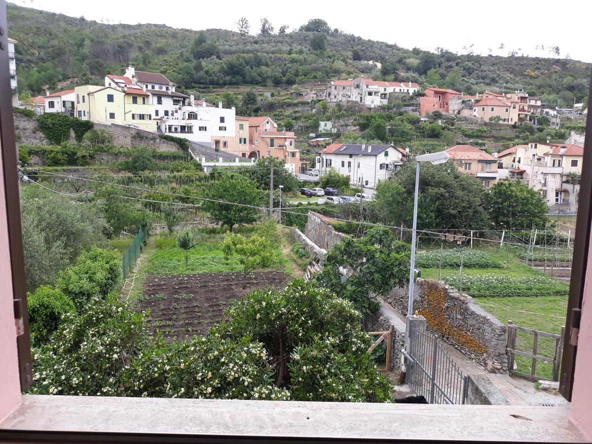La Terra Di Mingo Bed & Breakfast Vado Ligure Exterior photo